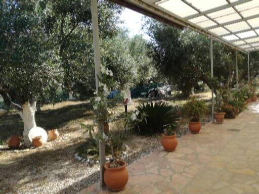 Sunny Holiday Home Καλαμάτα Εξωτερικό φωτογραφία