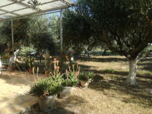 Sunny Holiday Home Καλαμάτα Εξωτερικό φωτογραφία
