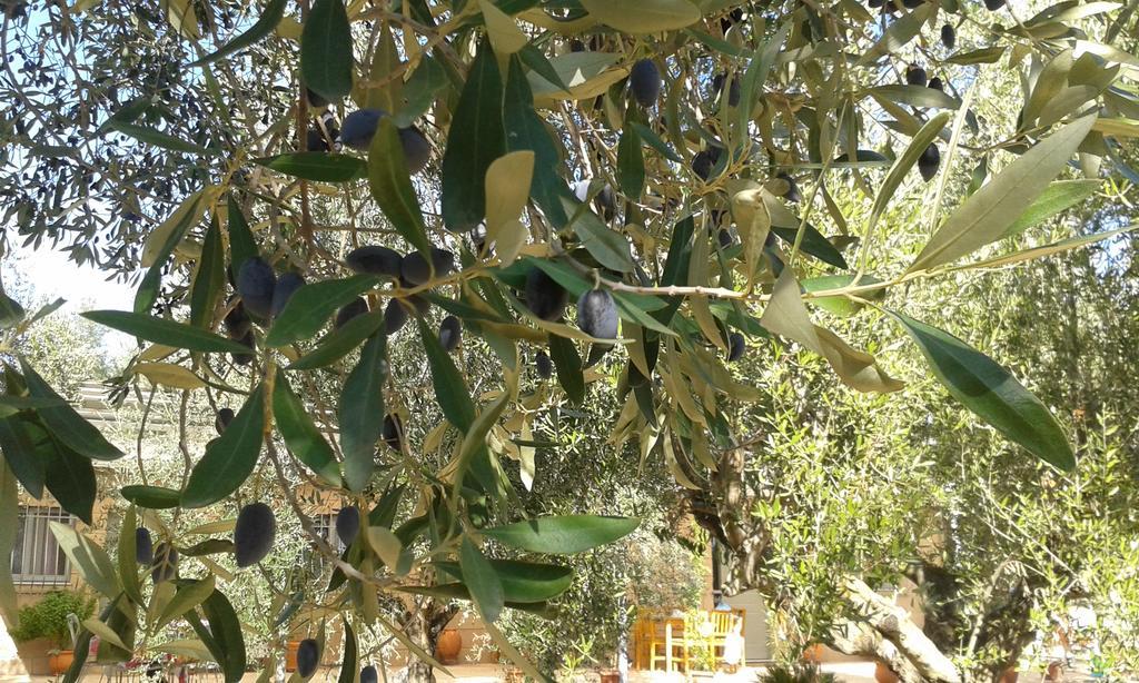Sunny Holiday Home Καλαμάτα Εξωτερικό φωτογραφία