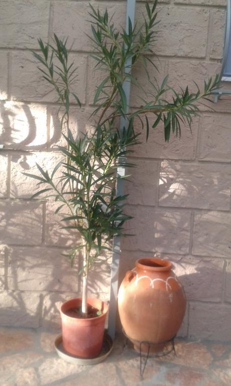 Sunny Holiday Home Καλαμάτα Εξωτερικό φωτογραφία